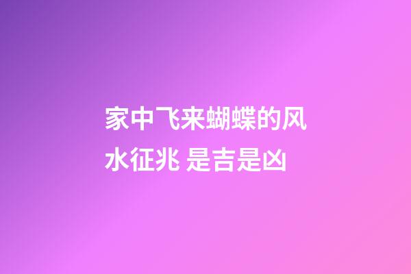 家中飞来蝴蝶的风水征兆 是吉是凶